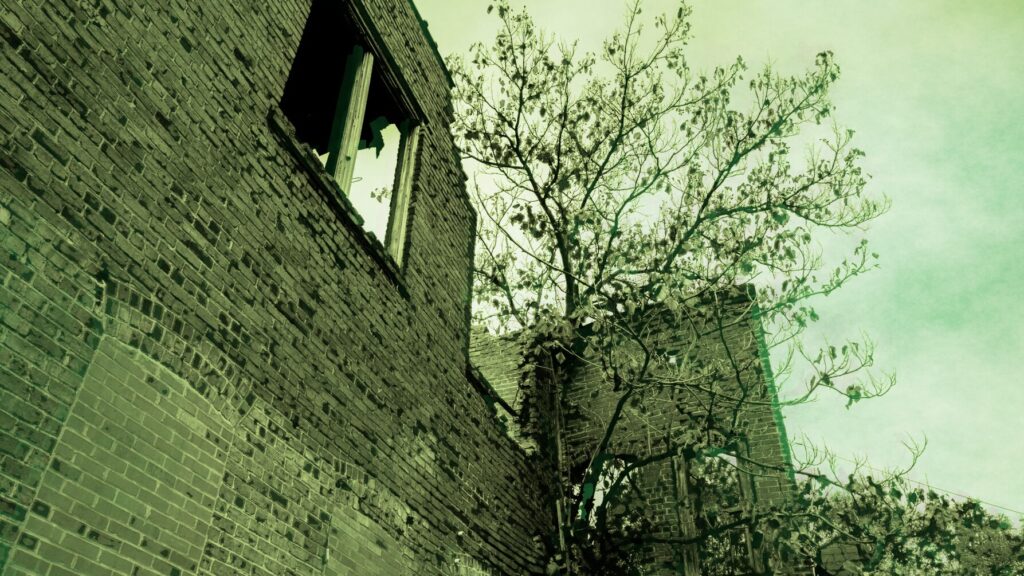 A brick building crumbling with trees growing into the side of it.